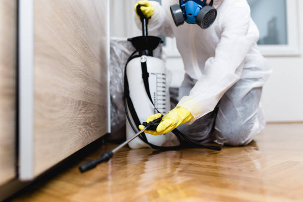 Best Cockroach Control Services  in Hillsboro, WI