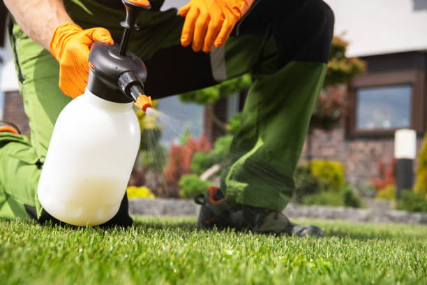 Best Affordable Pest Control Services  in Hillsboro, WI