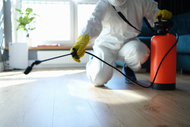 Best Pest Prevention Services  in Hillsboro, WI