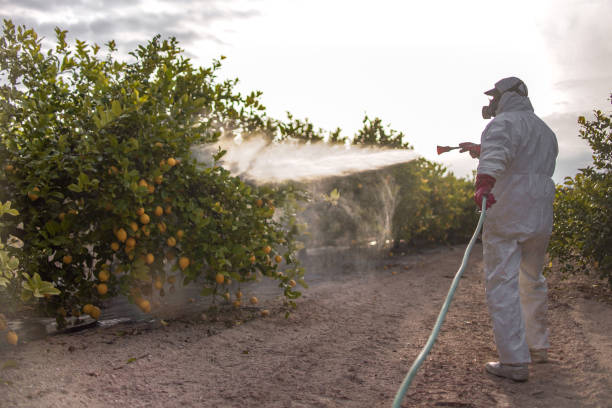 Best Rat Extermination Near Me  in Hillsboro, WI