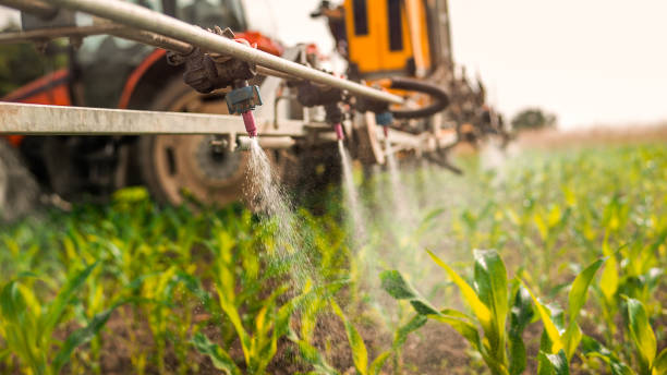 Best Local Pest Control Services  in Hillsboro, WI